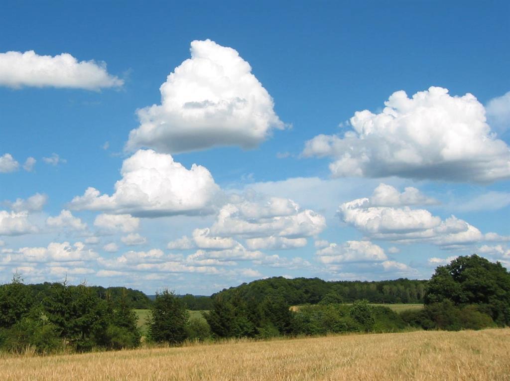 Mây tích (Cumulus): Mây tích về cơ bản là những thứ bạn có thể đã học vẽ khi còn nhỏ. Những đám mây bông trắng bồng bềnh có đáy phẳng, thường xuất hiện trong thời tiết đẹp