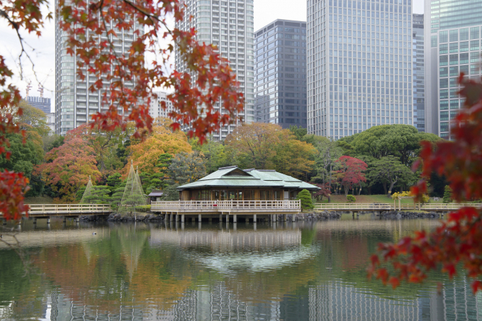 Những điểm đến mùa thu đẹp như trong cổ tích tại Nhật Bản