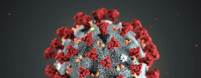 Dưới kính hiển vi, virus Corona như một quả cầu nhỏ với những chiếc mũ miện bên ngoài.