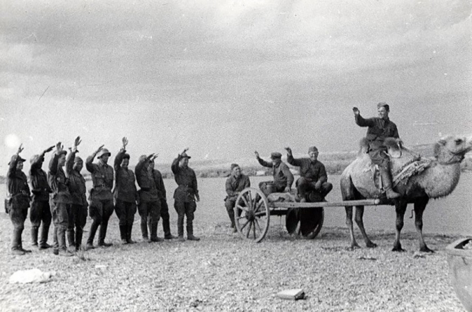 Lạc đà từng có cấp bậc trong lực lượng Hồng quân, được sử dụng để vận chuyển hàng hóa và pháo binh (Ảnh: Viktor Temin/МАММ/МDF/russiainphoto).