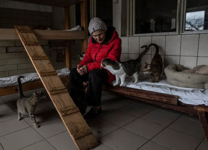 Bà Asya Serpinska, 77 tuổi, ghé thăm những chú mèo ở trạm cứu hộ ở thị trấn Hostomel, Ukraine (Ảnh: internet).