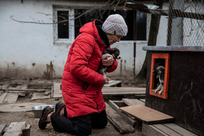 Bà Serpinska ghé thăm những chú chó con được sinh ra tại trạm trong suốt đợt chiếm đóng của quân đội Nga (Ảnh: internet).