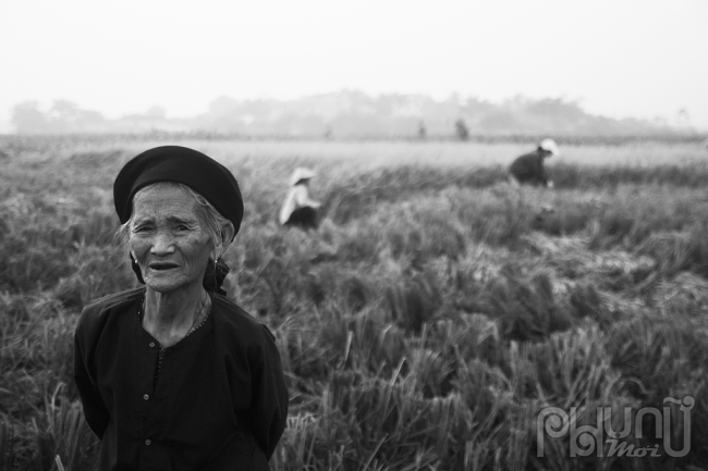 Ảnh minh họa: Khiếu Minh