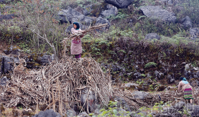 Hà Giang du ký