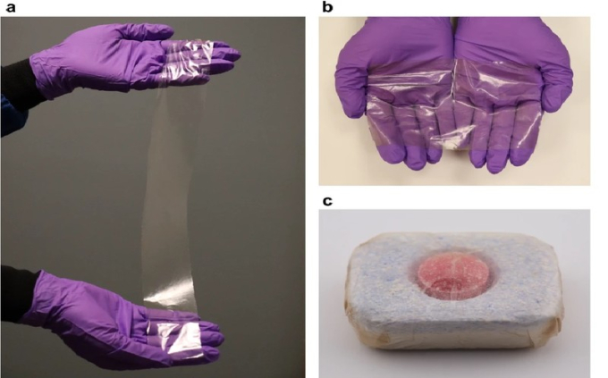 Mẫu vật liệu nhựa hòa tan mới được nghiên cứu (Ảnh: Đại học Northeastern).