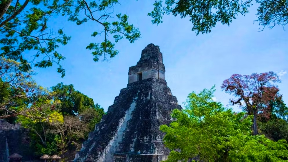 Di sản thế giới được UNESCO công nhận của Tikal (trong ảnh), một trong những trung tâm văn hóa quan trọng nhất của nền văn minh Maya, chỉ cách 