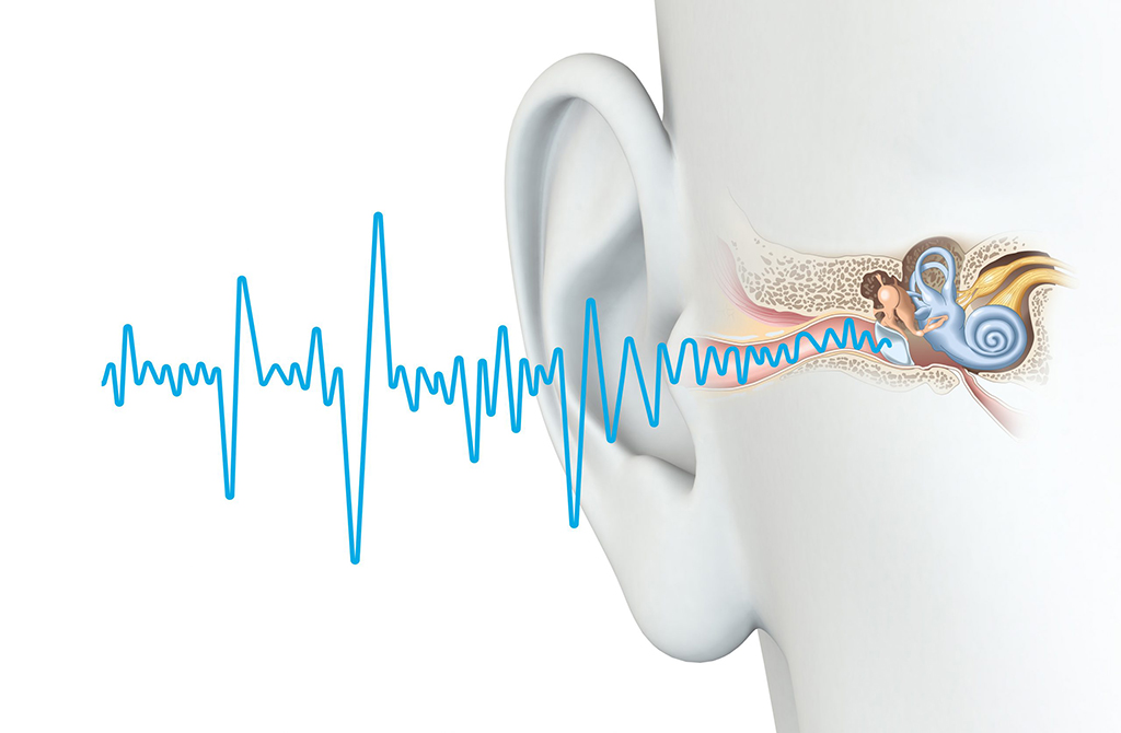 Liệu pháp gen mở ra hy vọng phục hồi thính giác ở người trưởng thành