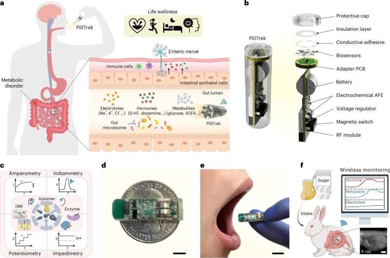 Viên nang cảm biến thông minh giúp theo dõi sức khỏe đường ruột từ bên trong 