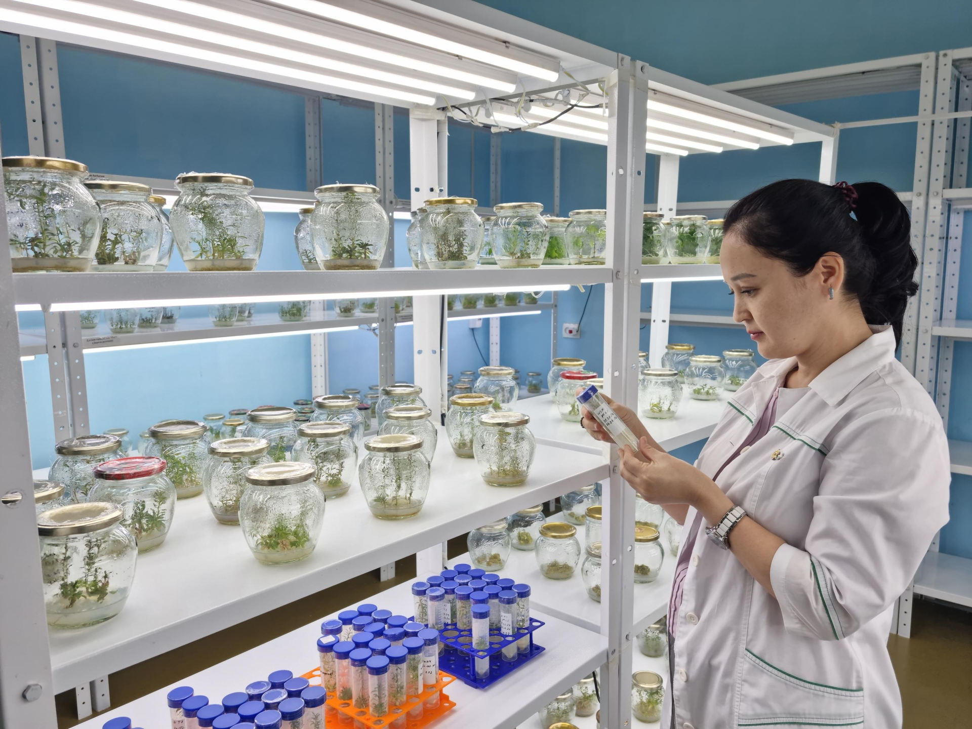 Nữ tiến sĩ Sayyora Abdirahimova trong phòng thí nghiệm