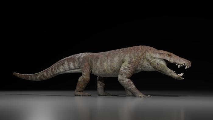 Hình phục dựng Kostensuchus atrox