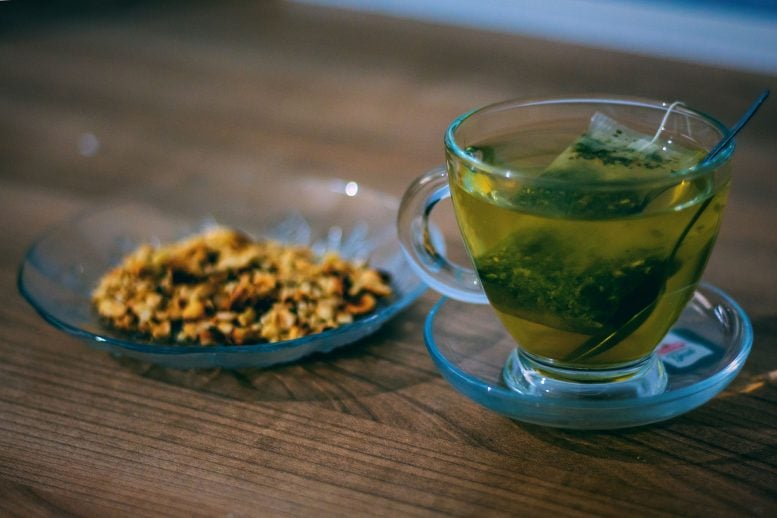 Chế độ ăn xanh-MED là chế độ ăn Địa Trung Hải được điều chỉnh bổ sung nhiều thực phẩm giàu polyphenol, bao gồm quả óc chó, Mankai (bèo tấm trồng) và trà xanh, đồng thời giảm lượng thịt đỏ và thịt chế biến.