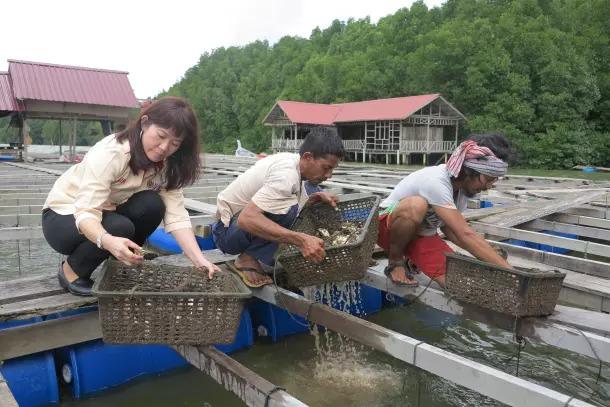 Bà Aileen Tan Shau Hwai chia sẻ kỹ thuật nuôi cấy hàu giúp các cộng đồng ven biển nông thôn nuôi trồng thủy sản xanh