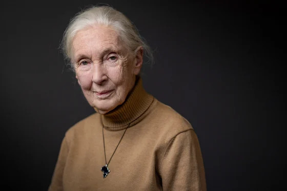  Huyền thoại linh trưởng học Jane Goodall
