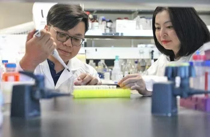 Nghiên cứu sinh Tuan-Anh Nguyen và tiến sĩ Thu-Thuy Dang