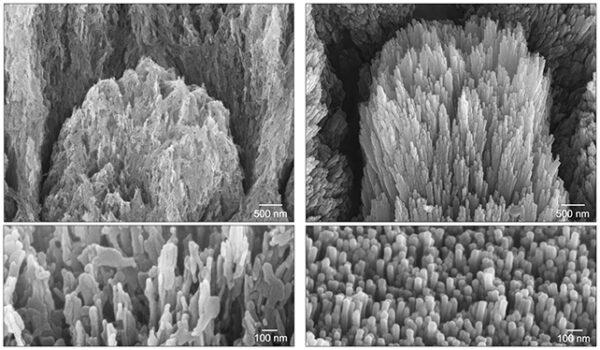 Hình ảnh kính hiển vi điện tử cho thấy lớp men răng bảo vệ bị mất (bên trái) được phục hồi sau hai tuần bằng phương pháp điều trị mới (bên phải)