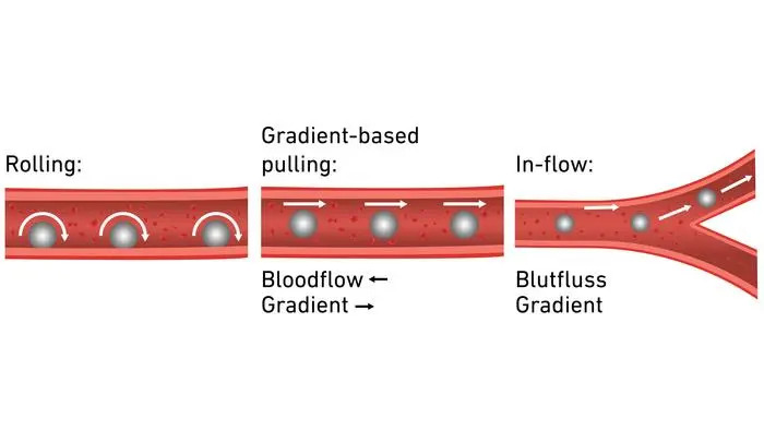 Hình đồ họa cho thấy robot có nhiều tùy chọn điều hướng khác nhau