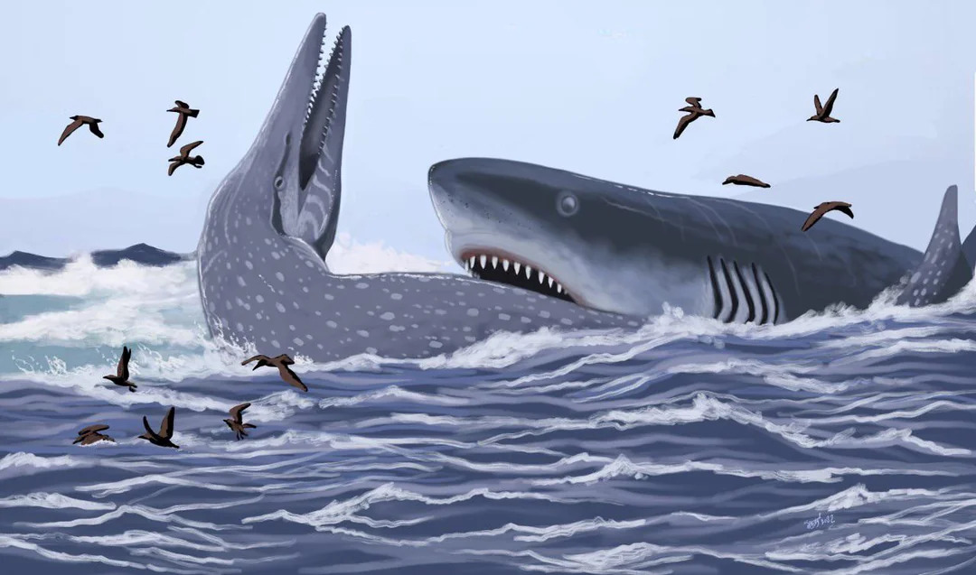 Lộ diện dấu vết loài cá mập khổng lồ cổ đại từng thống trị đại dương từ thời khủng long
