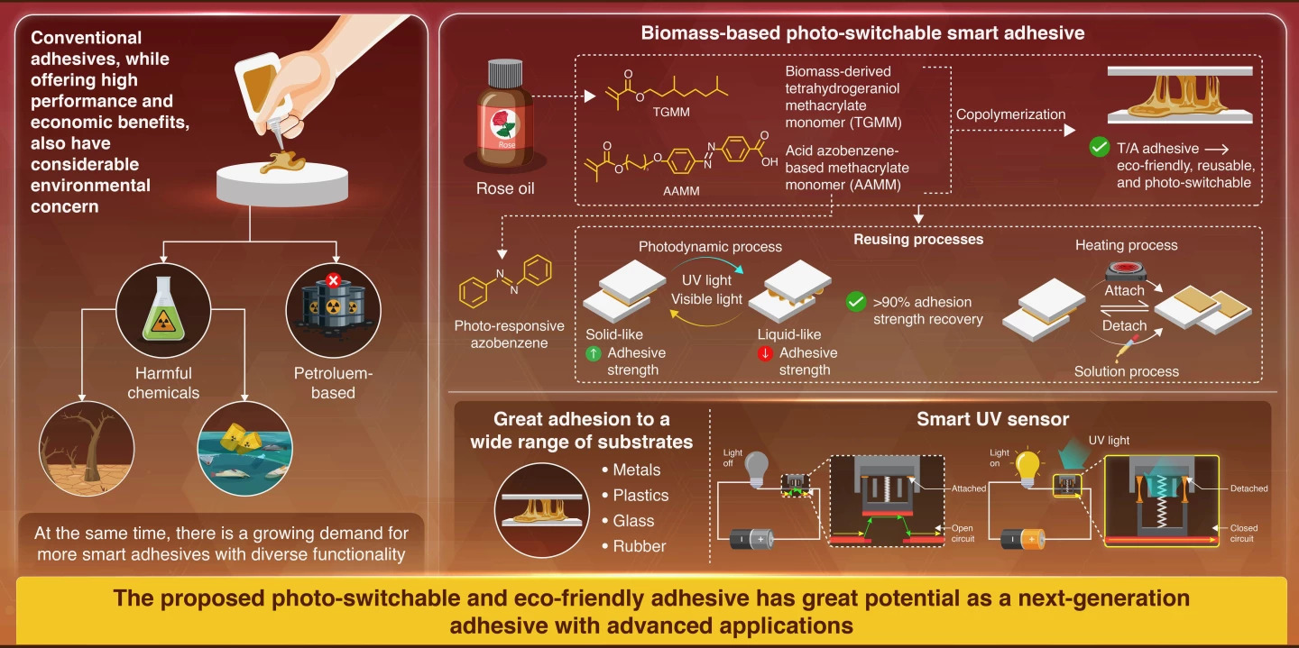 Loại keo thông minh từ hoa hồng có thể “bật – tắt” độ dính bằng ánh sáng