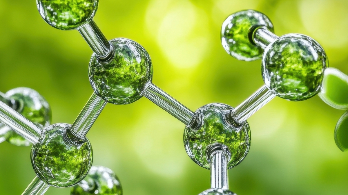 Hợp chất nấm chống ung thư được tổng hợp thành công sau 55 năm