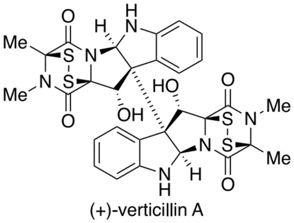 Mục tiêu cuối cùng là verticillin A, với hai phần giống hệt nhau.