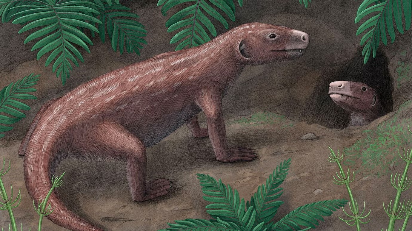 Hình mô phỏng tổ tiên động vật có vú kỷ Tam Điệp 