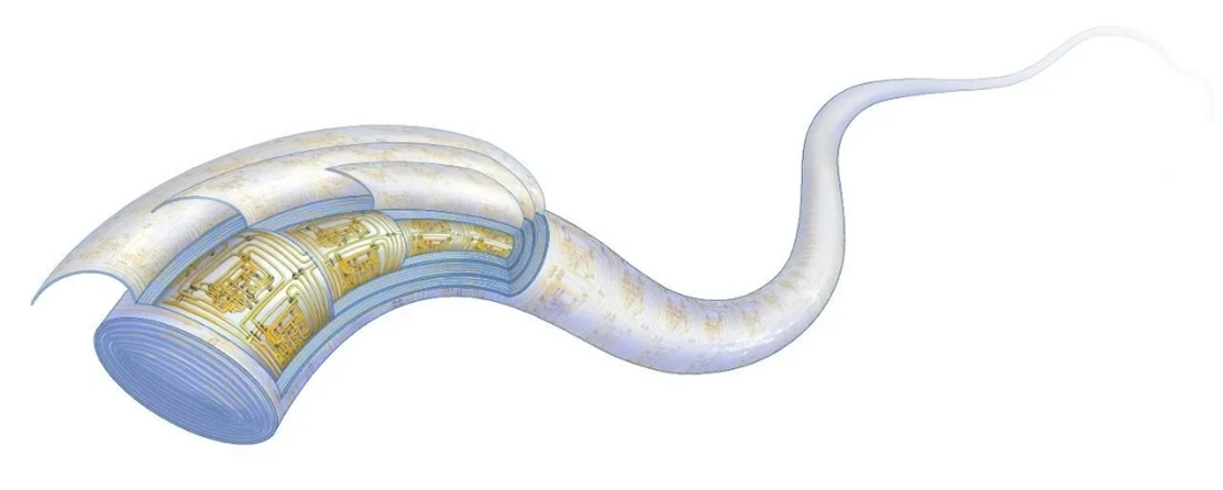 Trung Quốc ra mắt công nghệ chip dạng sợi, mỏng như sợi tóc nhưng chịu được xe tải 15,6 tấn