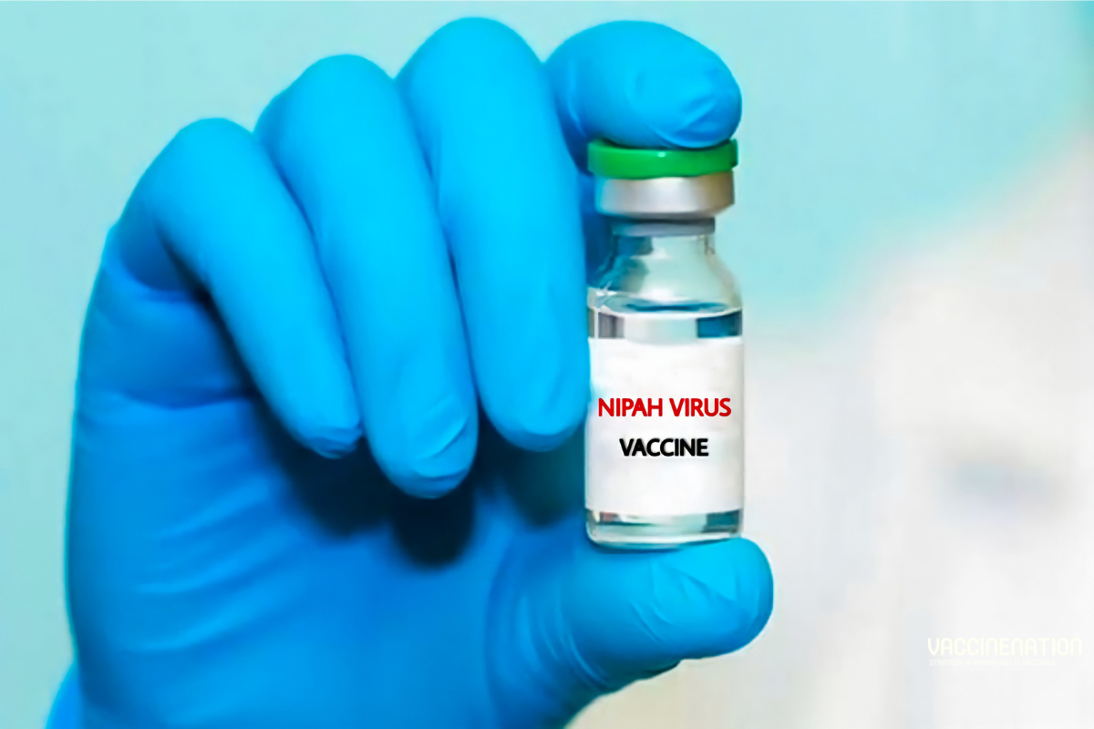 Nhật Bản chuẩn bị thử nghiệm lâm sàng vaccine ngừa virus Nipah