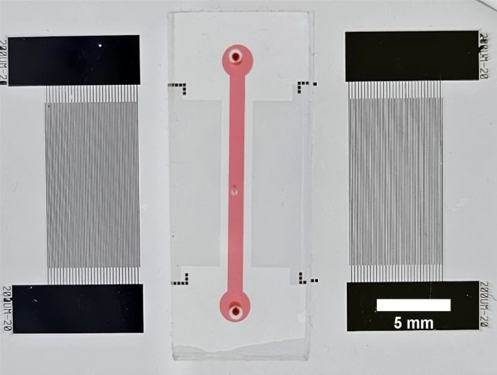 Cấu trúc bên trong của chip