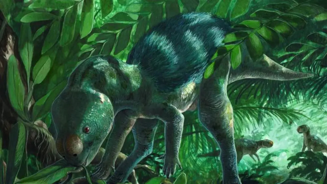 Hình ảnh phục dựng loài Foskeia pelendonum.