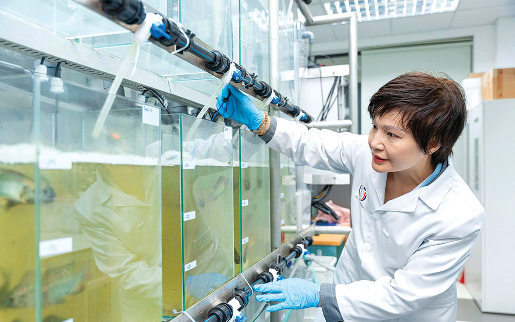 PGS.TS Ngô Thị Thúy Hường