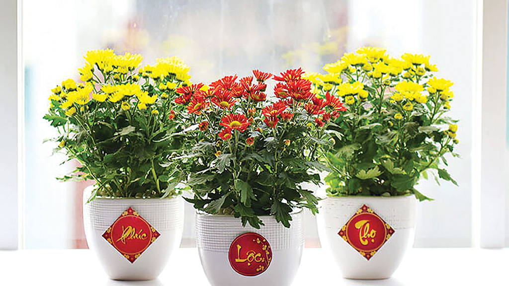 Trang trí Tết với hoa tươi