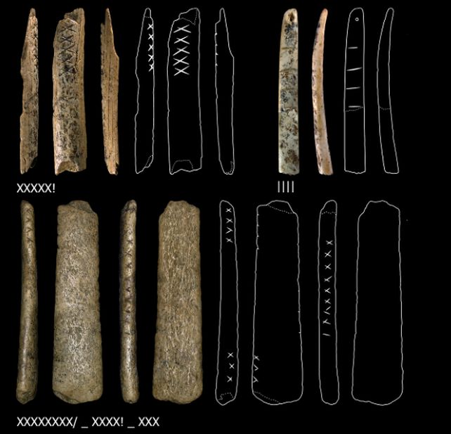 Đồ tạo tác bằng xương và ngà voi có khắc dấu.