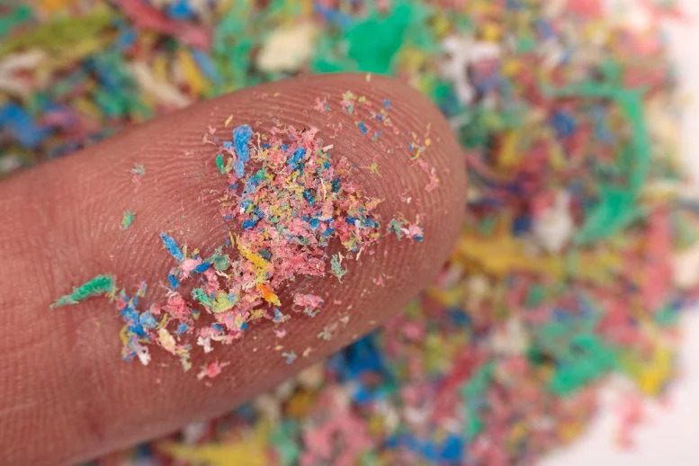 Phát hiện vi nhựa dày đặc trong khối u tuyến tiền liệt