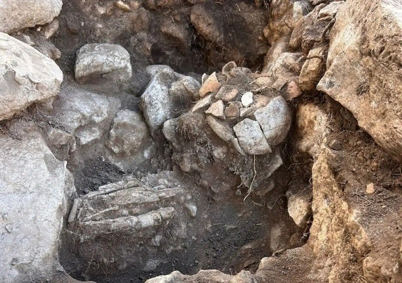 Hai lễ vật cơ bản liên quan đến khả năng sinh sản và sự nuôi dưỡng.