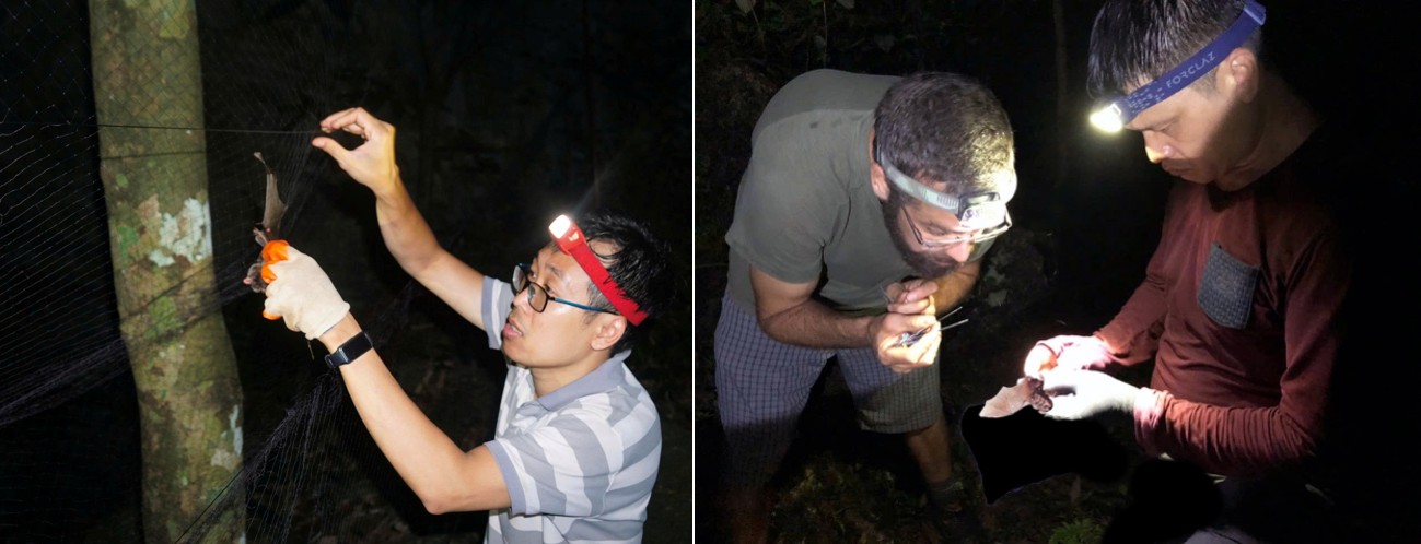 Hoạt động khảo sát thực địa của nhóm nghiên cứu