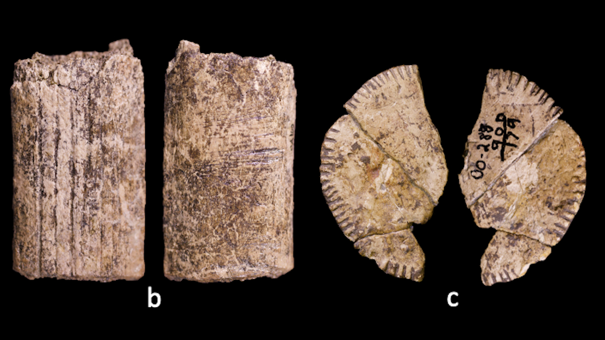 Loài người đã biết “tung xúc xắc” may rủi từ Kỷ Băng Hà?