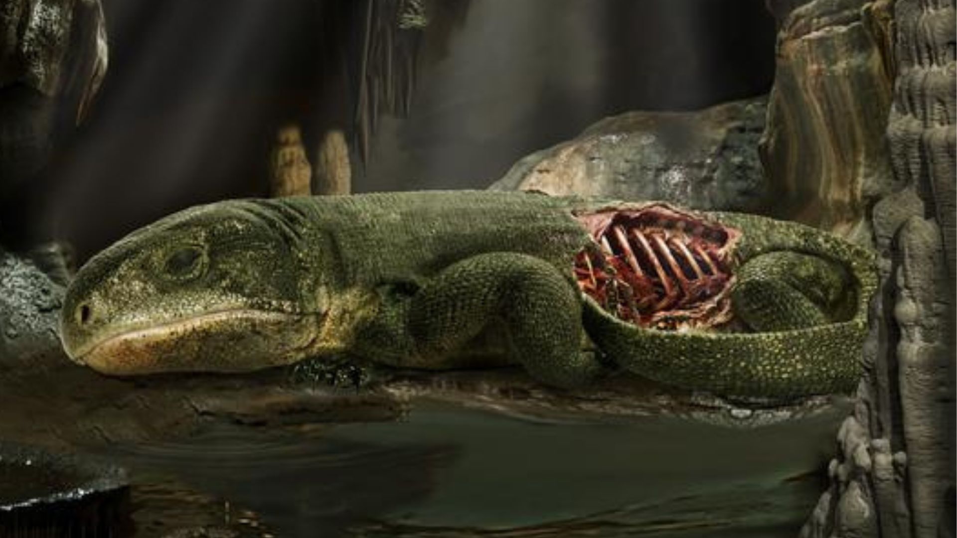 Hình ảnh phục dựng của hóa thạch Captorhinus trong hang động.