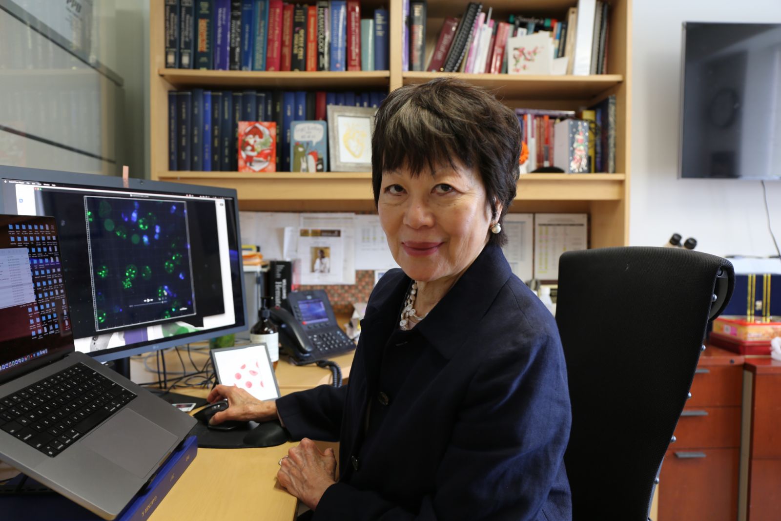 Tiến sĩ Swee Lay Thein