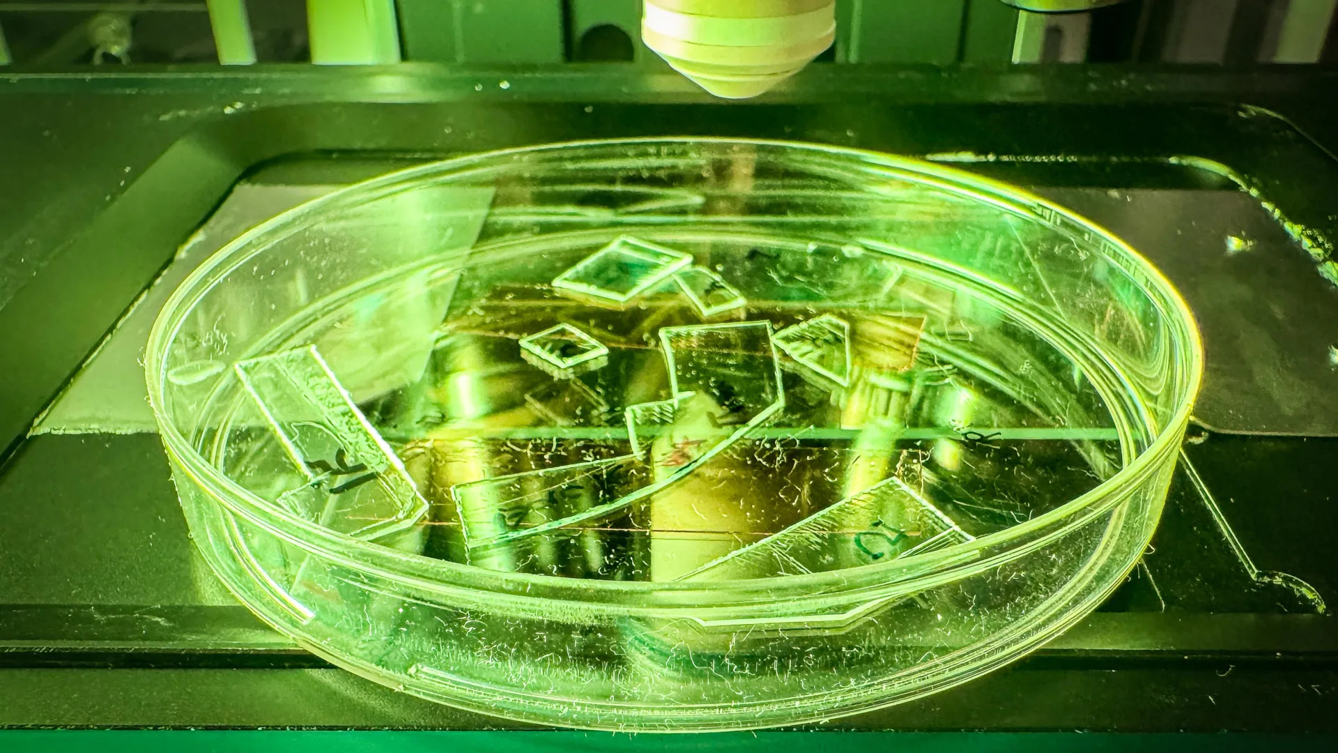 Các mẫu acrylic trong suốt với bề mặt cấu trúc nano được thiết kế đặc biệt