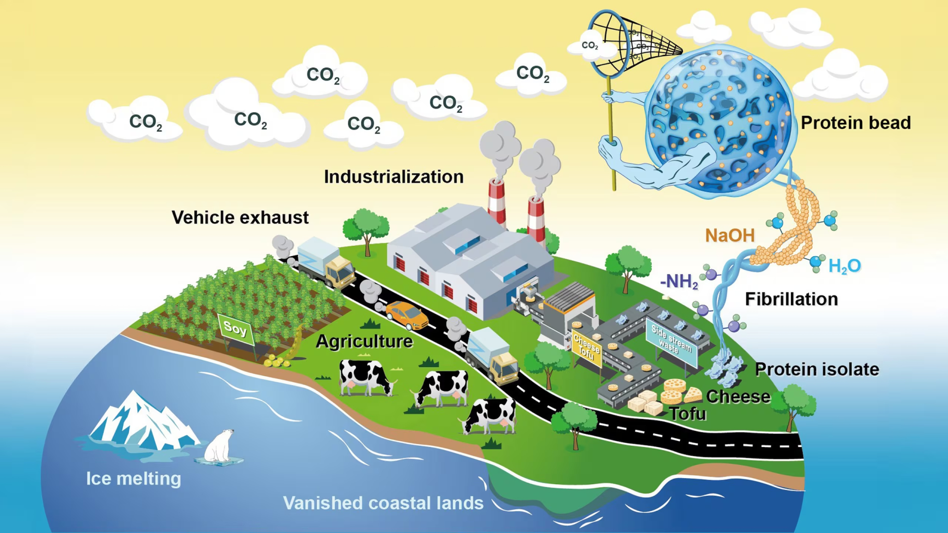 Phương pháp thu giữ carbon trực tiếp từ không khí (DAC): Chất thải thực phẩm từ quá trình sản xuất phô mai và đậu phụ được xử lý thành các hạt protein có khả năng hấp thụ carbon dioxide.