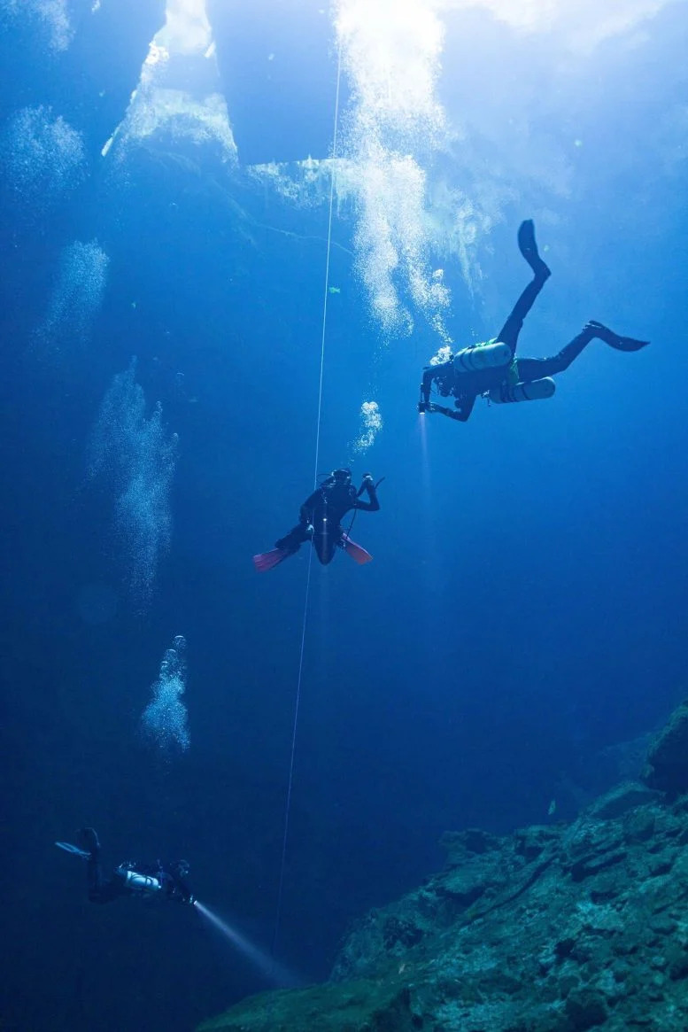 Giới khoa học mở khóa bí ẩn các loài khổng lồ tuyệt chủng từ “dấu vết” xương ngập nước