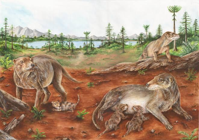 Hình ảnh tái hiện cảnh sống của một nhóm cá thể Chiniquodon theotonicus. Ảnh: María de los Ángeles Miceli Baro