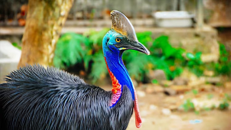 Ảnh: Shutterstock
