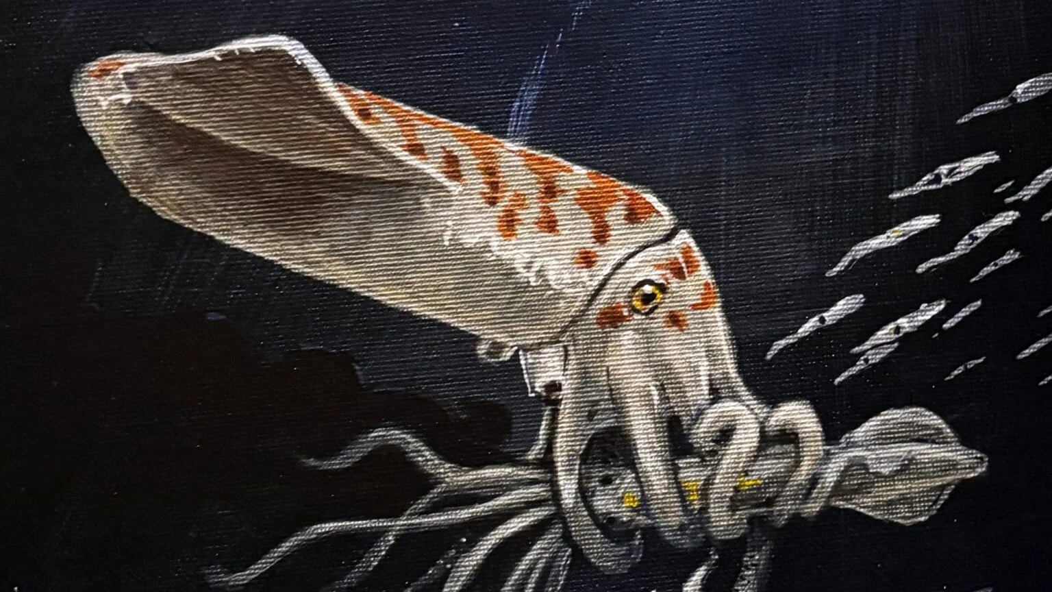 Ảnh phác họa về loài Wyoteuthis linsterorum (Ảnh:Jason Poole, c/o Jessica Lippincott)
