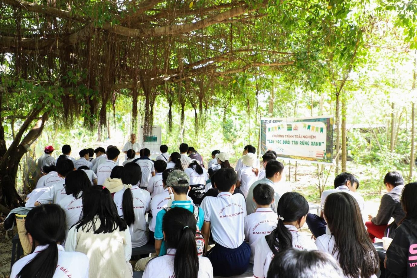 Rừng thu hút mọi lứa tuổi, những lớp học dưới tán cây cũng dần xuất hiện.
