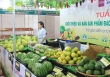 Siêu thị giảm giá mạnh nhiều mặt hàng tại tâm dịch Hải Dương
