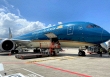 Vietnam Airlines xin được vận chuyển vaccine COVID-19 về Việt Nam