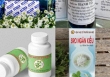 Bộ Y tế thu hồi công văn về 12 loại thuốc cổ truyền hỗ trợ điều trị COVID-19