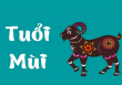 Tử vi năm 2022 tuổi Mùi: Một năm ngập tràn tiền bạc, đào hoa nở rộ