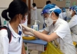 Có nên cho trẻ uống lá tía tô trước tiêm vaccine COVID-19 để giảm sốt?
